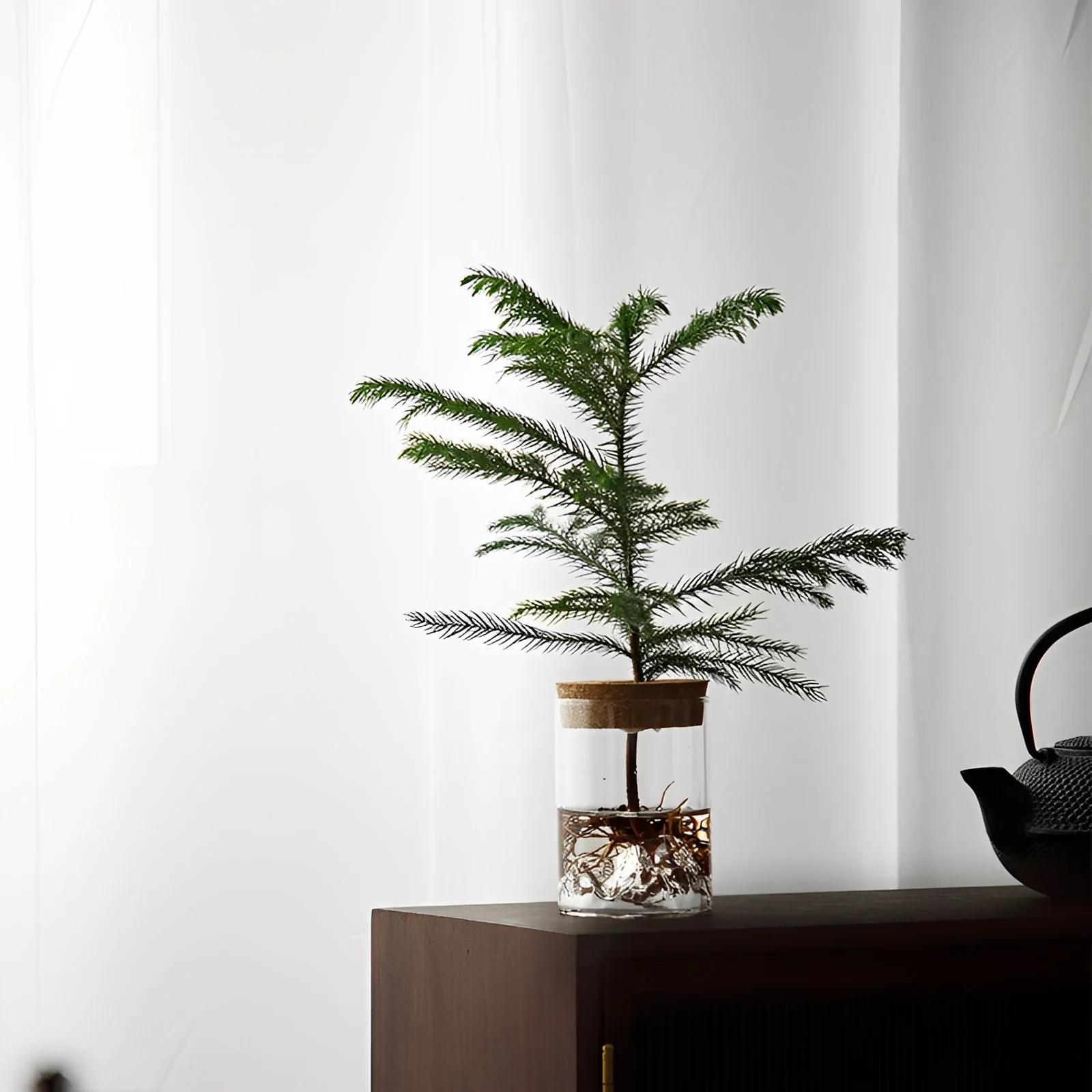 Sofia Glass Root Planter - Image 5